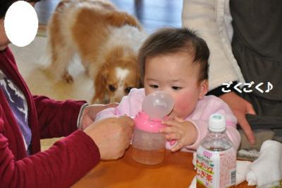 DSC_0939_20120217202941.jpg