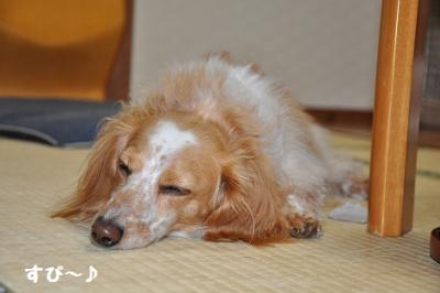 DSC_1042.jpg