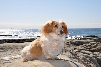DSC_1207.jpg