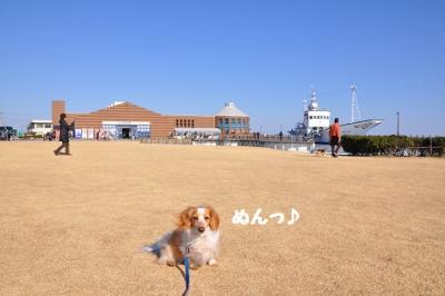 DSC_1297.jpg