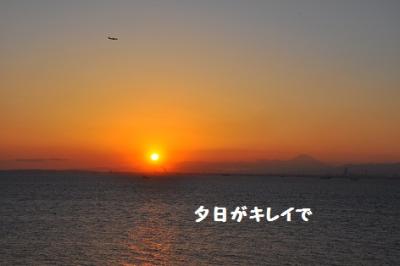 DSC_1313.jpg