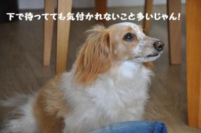 DSC_1821.jpg