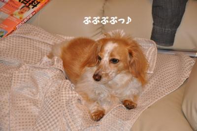 DSC_2125.jpg