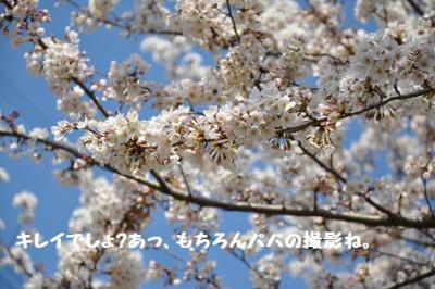 DSC_3284.jpg