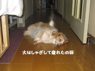 IMG_5357.jpg