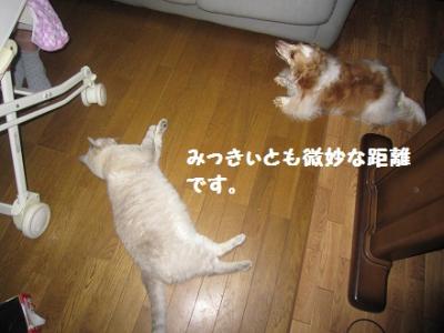 IMG_5389.jpg