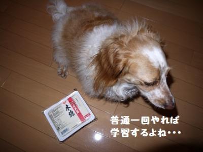 P1010616.jpg