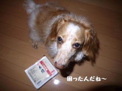 P1010617.jpg