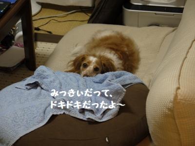 P1010625.jpg