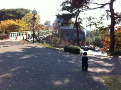 写真 (30)