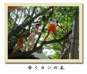 小郡幼稚園