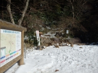 P2171524.jpg