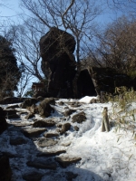 P2171563.jpg