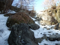 P2171577.jpg