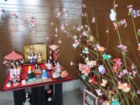 P2181775.jpg