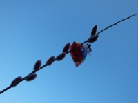 P2181850.jpg