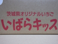 P2181900.jpg