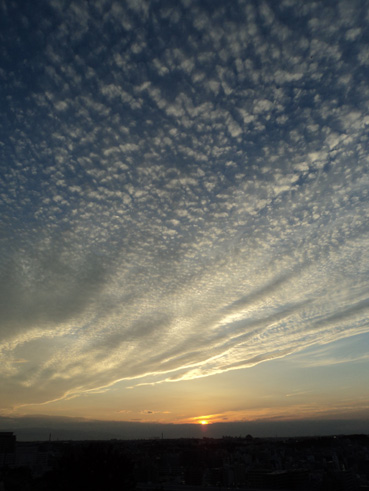 009_20130702033246.jpg