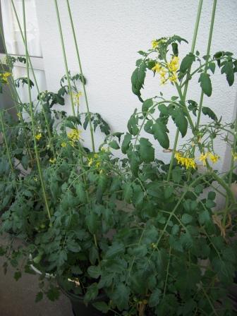 20130612