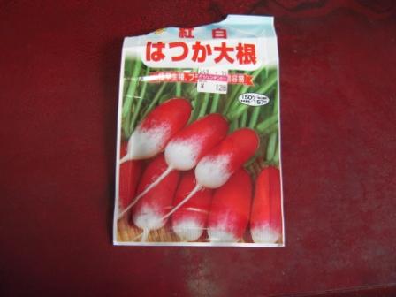 20130620 はつか大根(1)