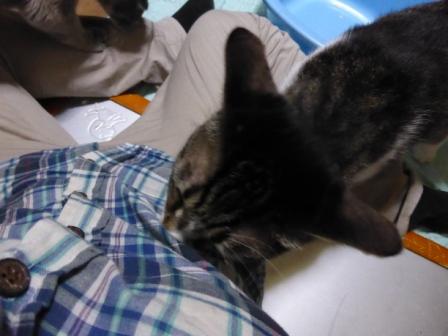 20130713 たろ