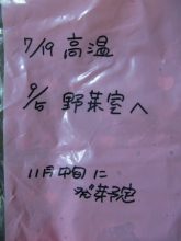 乾燥種子