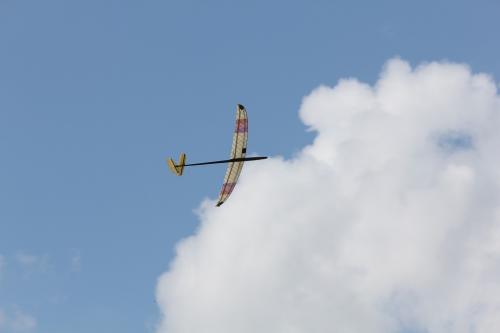 IMG_3962.jpg