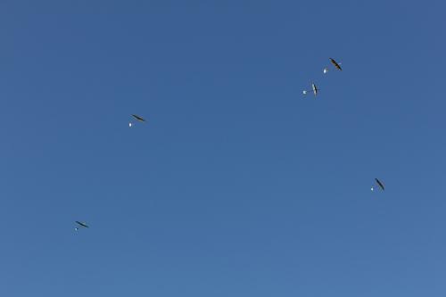 IMG_4020.jpg