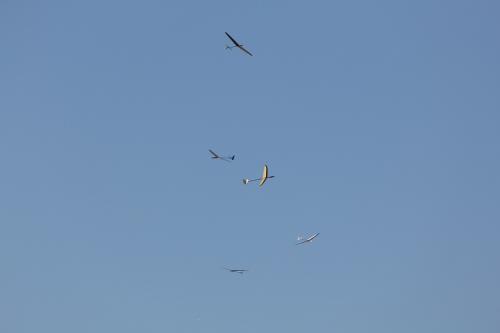 IMG_4027.jpg