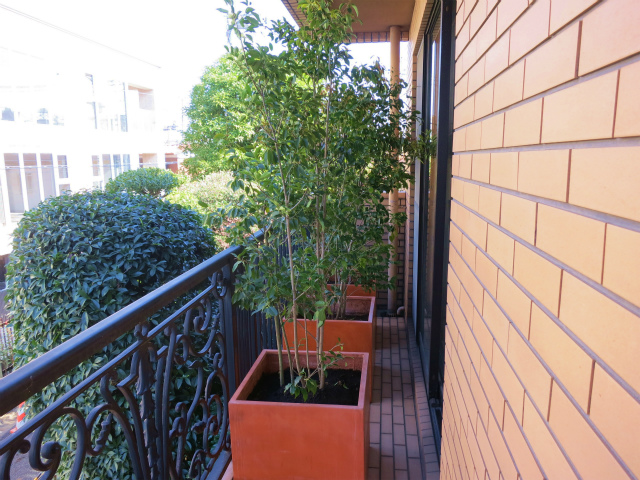 ベランダ 鉢植え植栽 東京の植木屋さん 三益造園のブログです