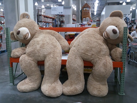 2014.9.17 HUSTLER点検とCOSTCO 2