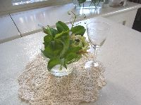 20130205_10.jpg
