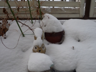 s-001_20130210115543.jpg