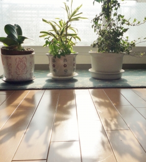 s-003_20130210115743.jpg