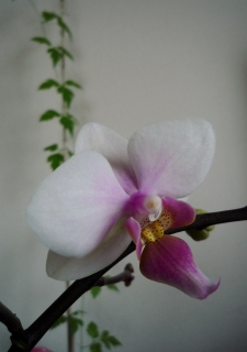 s-005_20130129135402.jpg