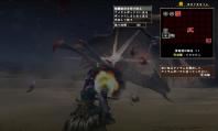 mhf-黒レイア12-