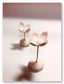小林陽子 香の花