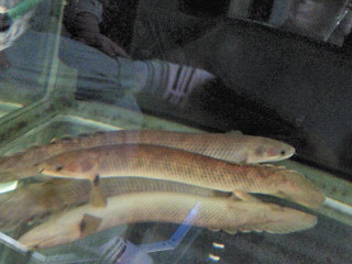 moblog_3df44544.jpg