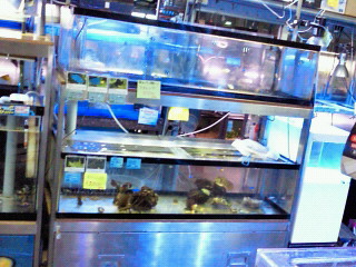 moblog_7a68e578.jpg
