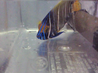 moblog_83f5c213.jpg