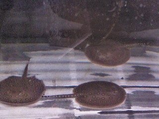 moblog_d54545c6.jpg