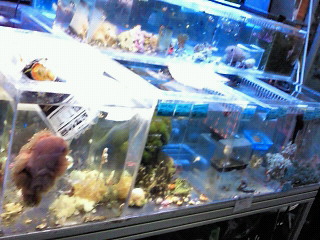moblog_fd23346b.jpg