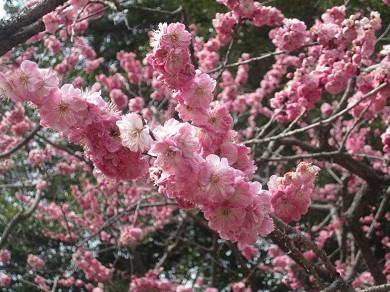 201203285.jpg