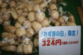 限定価格のレンコン