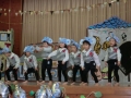 CIMG0366.jpg