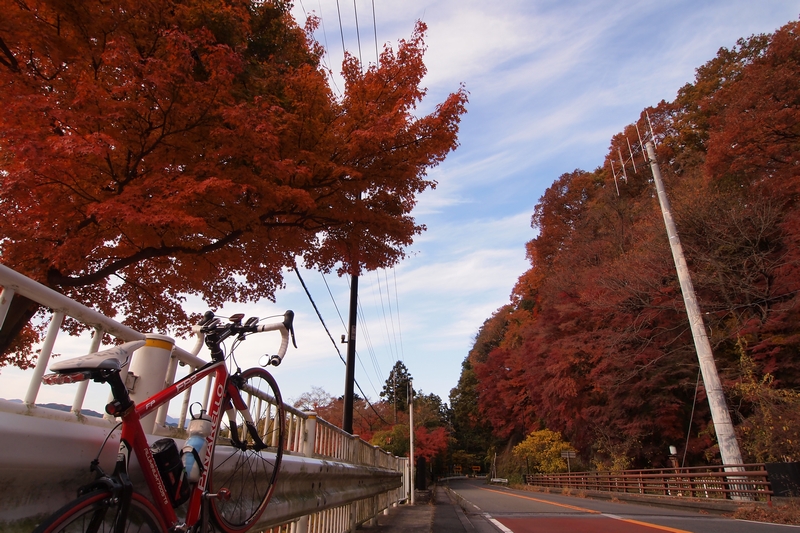 20131127_01.jpg