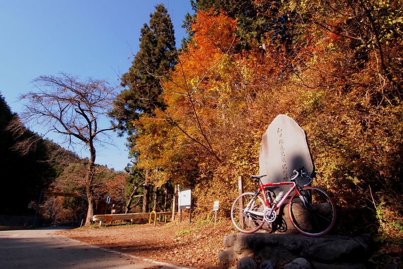 20131127_03.jpg