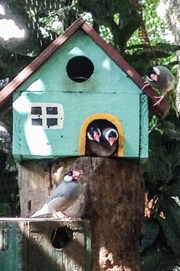 20140817_05.jpg
