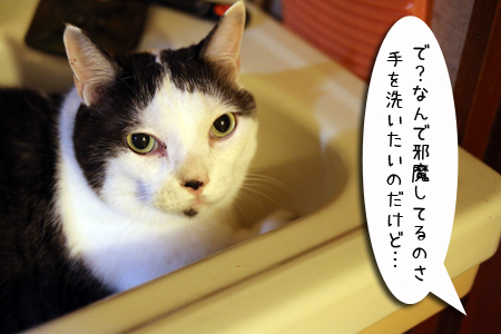 320140913.jpg