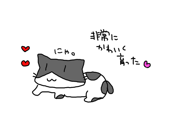 かけ可愛い２